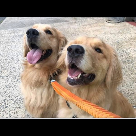 Meet your Posher, Kris - Picture 2 of 6